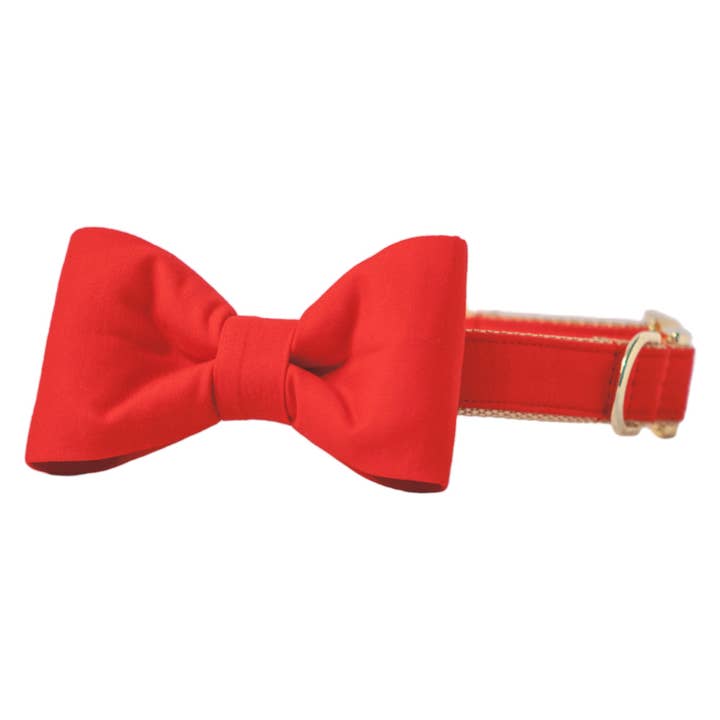 Collier pour chien à nœud papillon rouge écarlate pour la vente par Crew LaLa