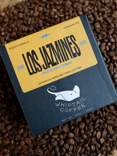 Colombia Los Jazmines - Jose Lizardo Alba Cordoba-SQ8052805 for wholesale by Whiptail Coffee