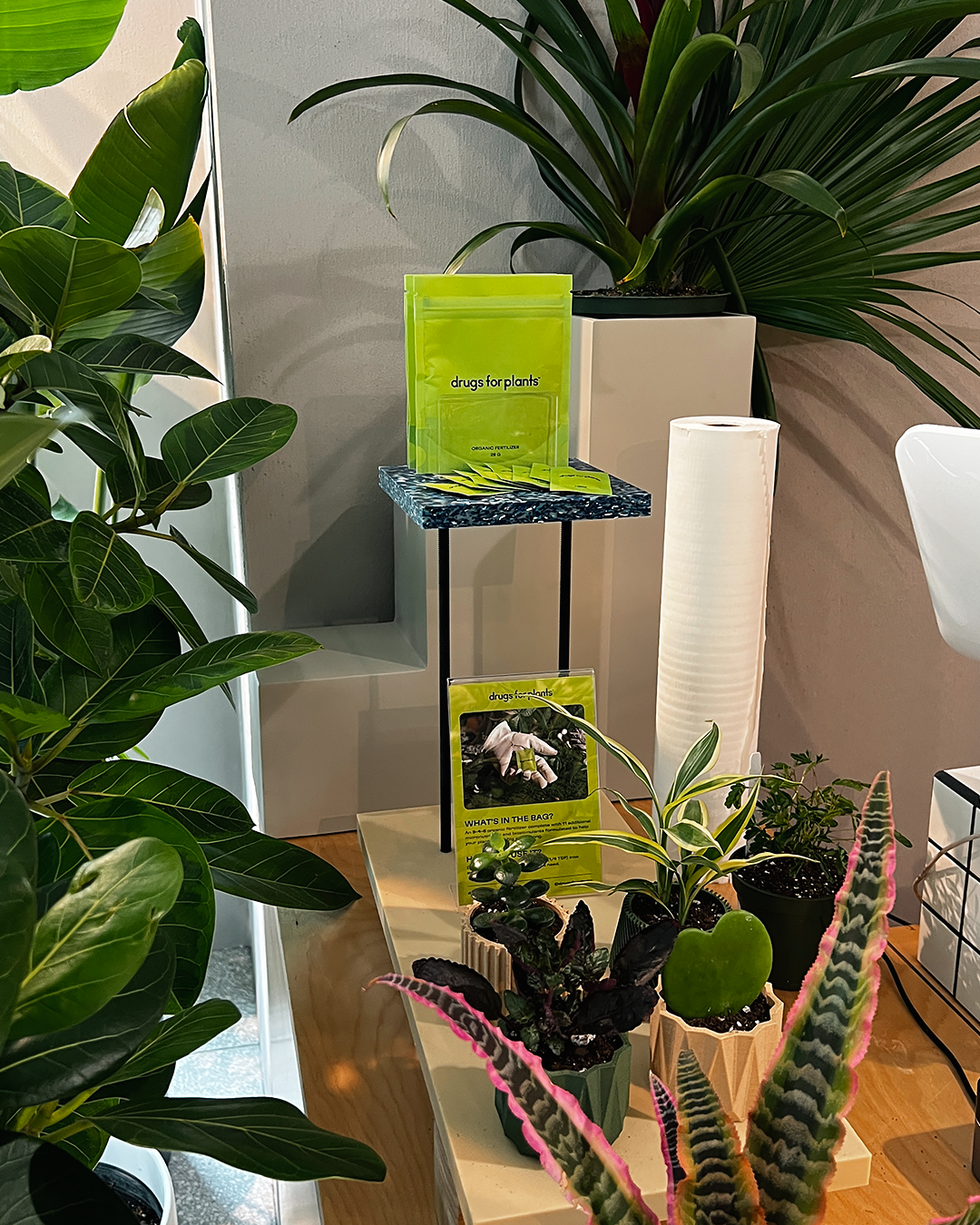 Drugs for Plants - Wholesale Fertilizer - 28G Pouch of Organic Fertilizer Powder1