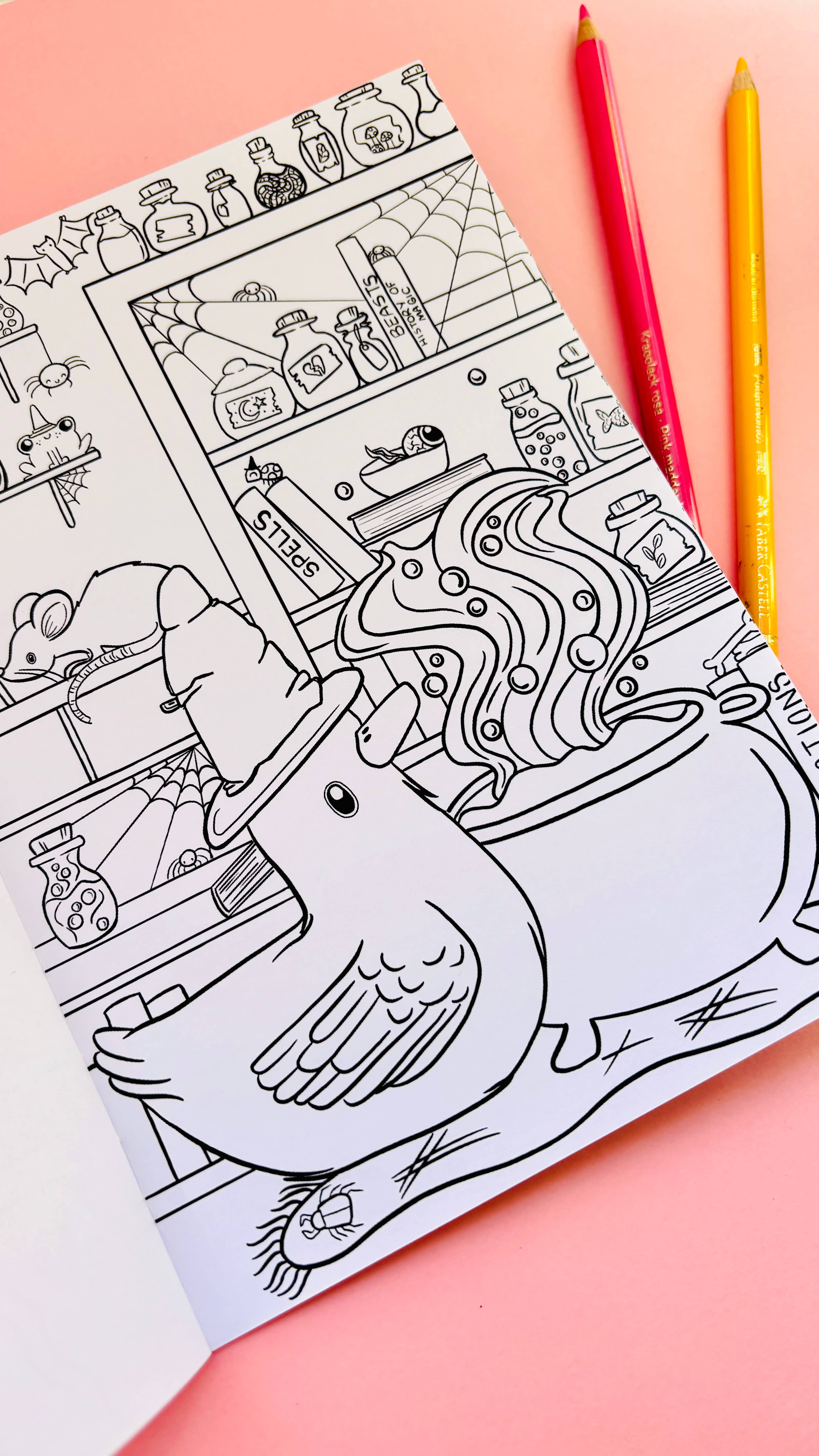 Pixiecraft - Wholesale Coloring & Activity Book - Kids & Baby - Dapper Ducks Illustrated A5 Colouring Book9