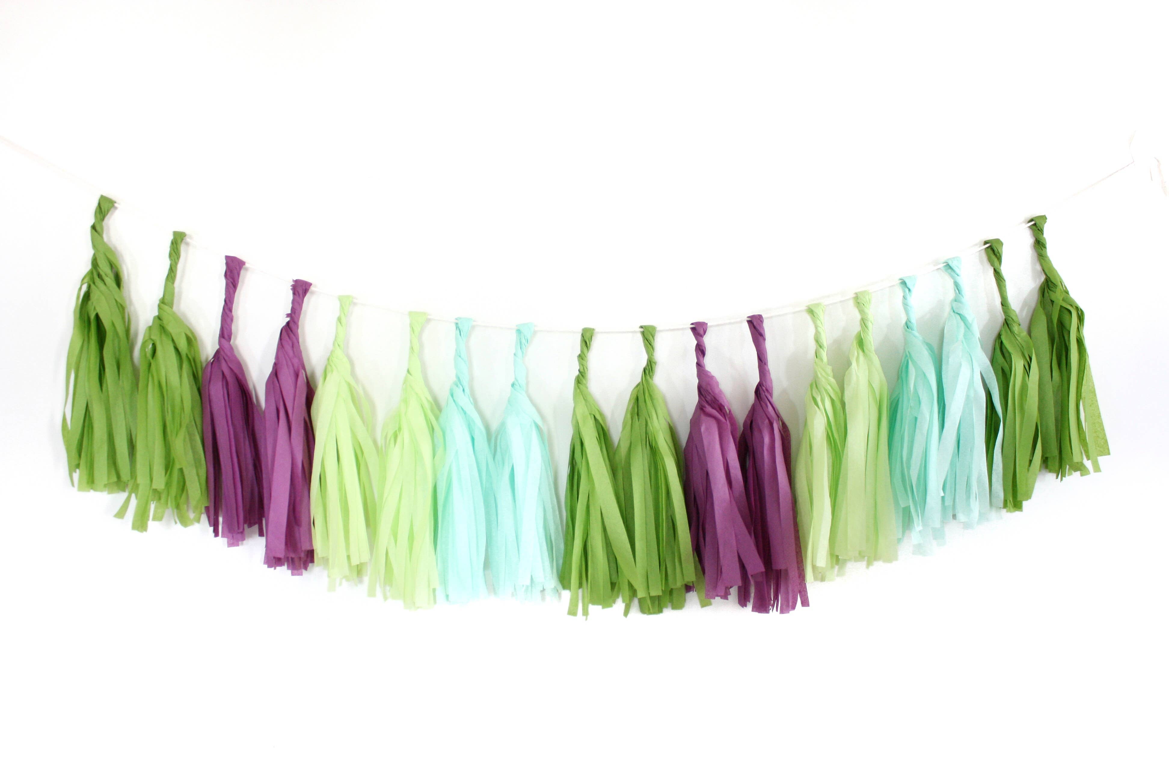 The Flair Exchange - Wholesale Bunting/Garland - Succulent Tissue Garland Kit1