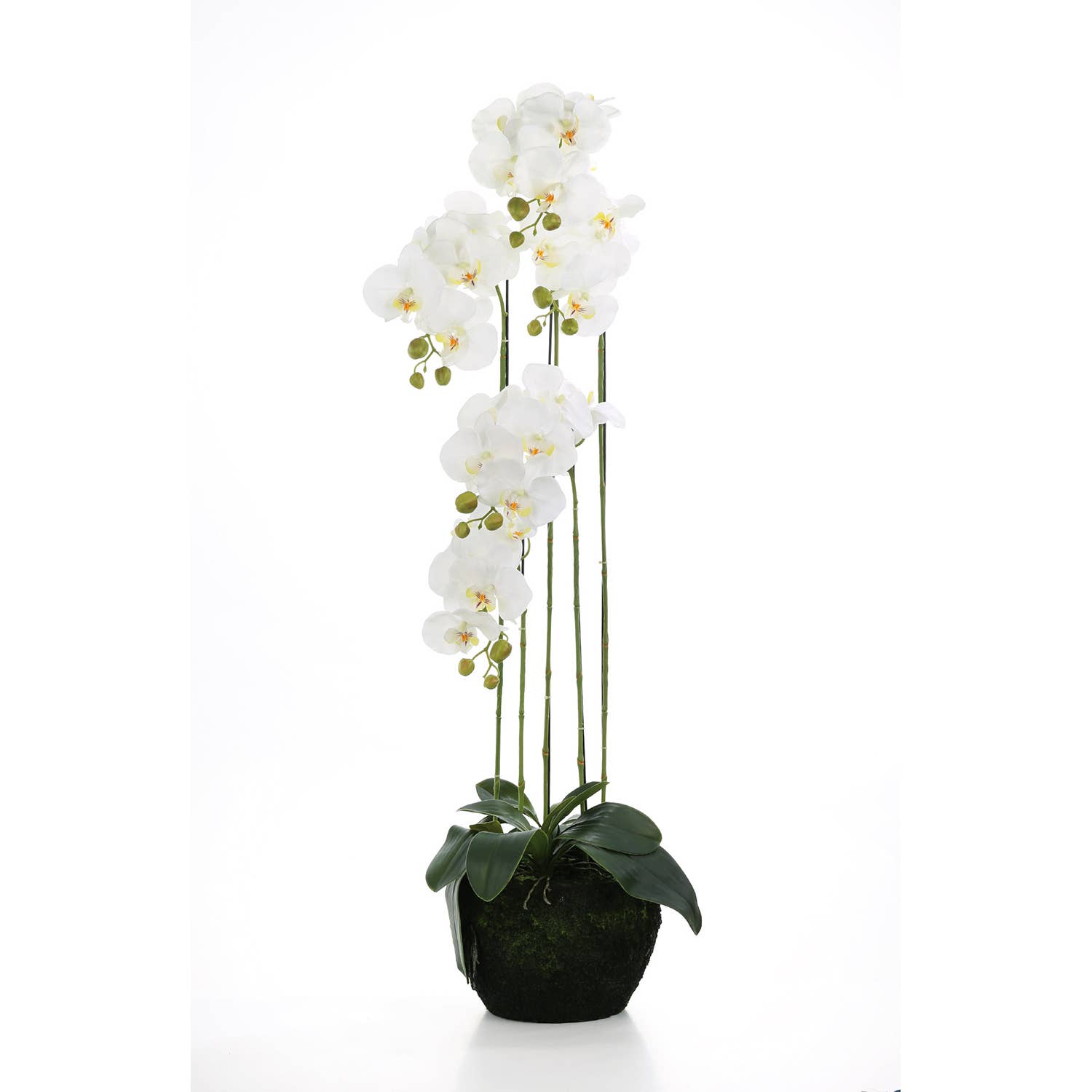 Potted Plant Orchid white H. 110 cm, PU 1 for wholesale on Faire0
