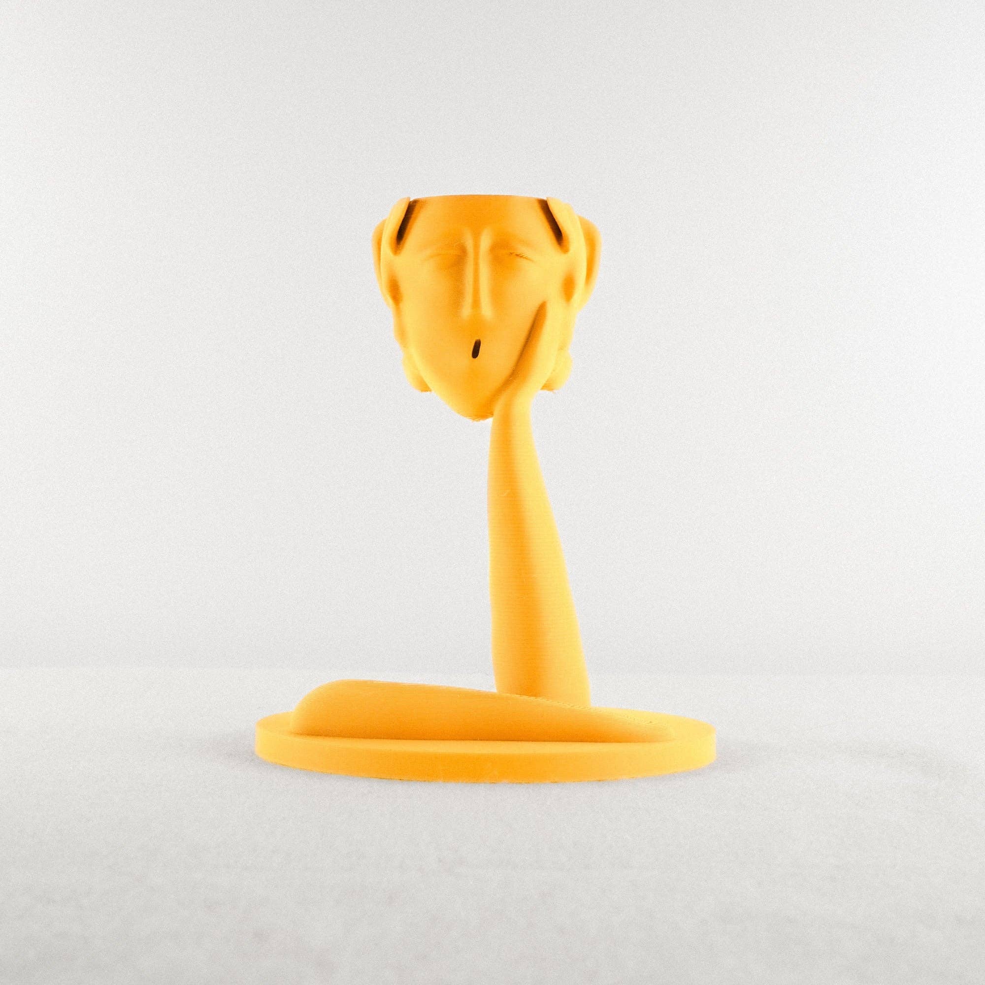 Rosebud Homegoods - Vente Pot - Jardinière Tête Méduse Air1