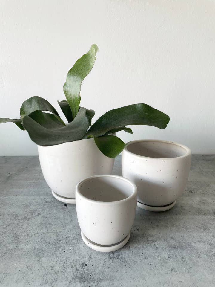Small Classic Tabletop Planter for wholesale by Little Fire Ceramics