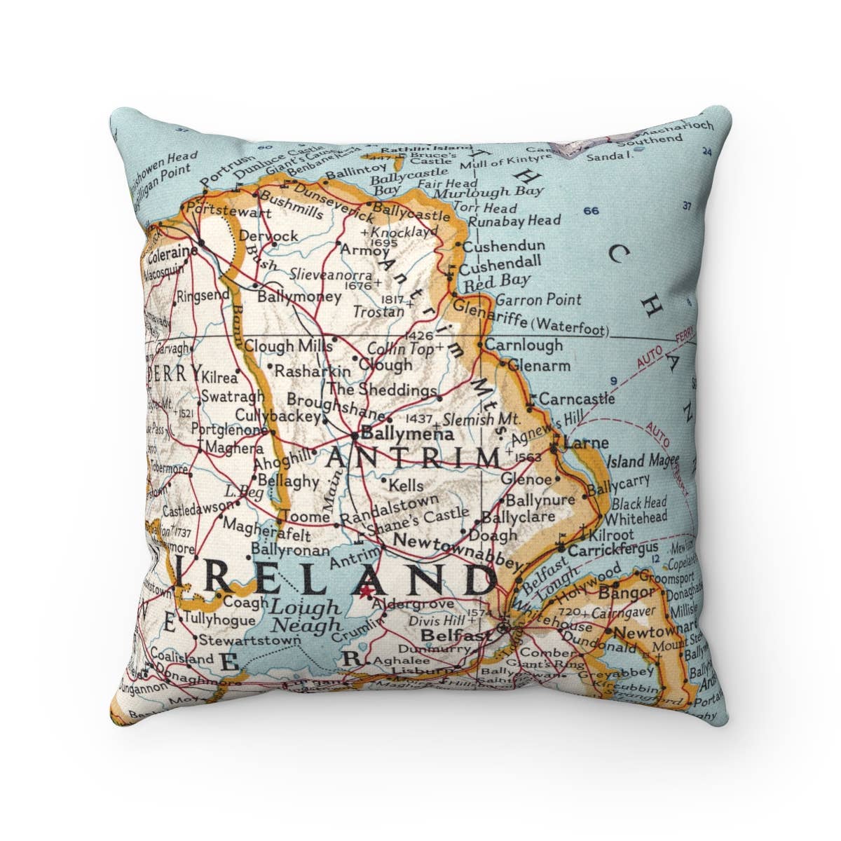 Daisy Mae Designs - Wholesale Throw/Decorative Pillow - County Antrim Ireland Map Throw Pillow Decorative Pillow0