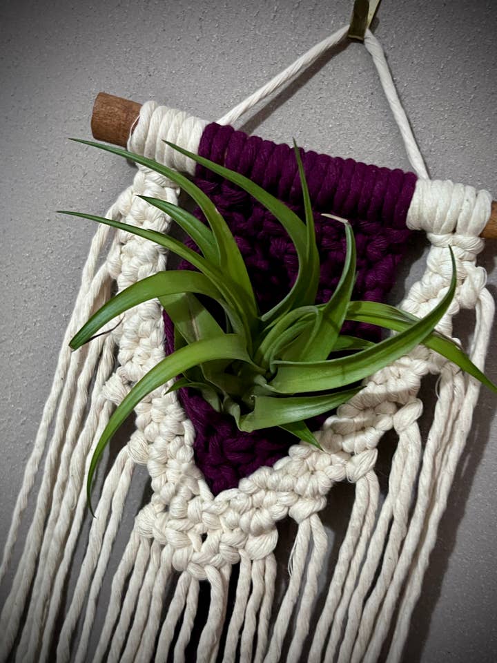 Macrame Air Plant Wall Hanging for wholesale by Mountaintop Creations
