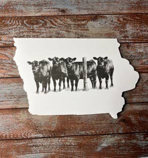 Iowa Paper Farm - Wholesale Everyday Greeting Card - Iowa with black cows greeting card pack, set of 51