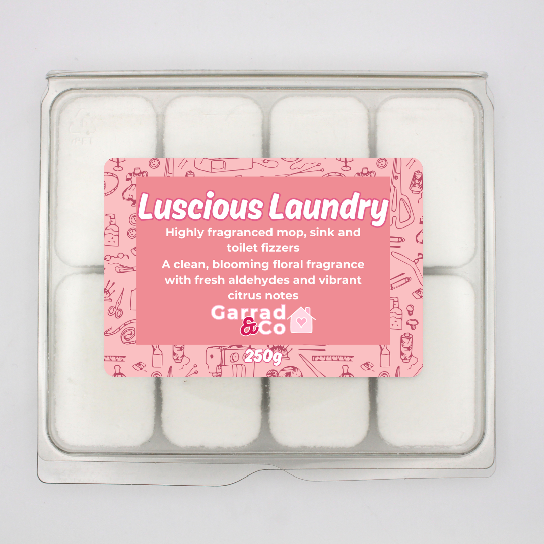 Garrad & Co - Wholesale Toilet Cleaner - Mop, sink and toilet fizzers6