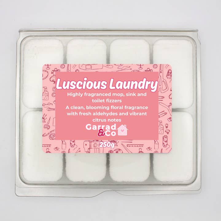 Garrad & Co - Wholesale Toilet Cleaner - Mop, sink and toilet fizzers6