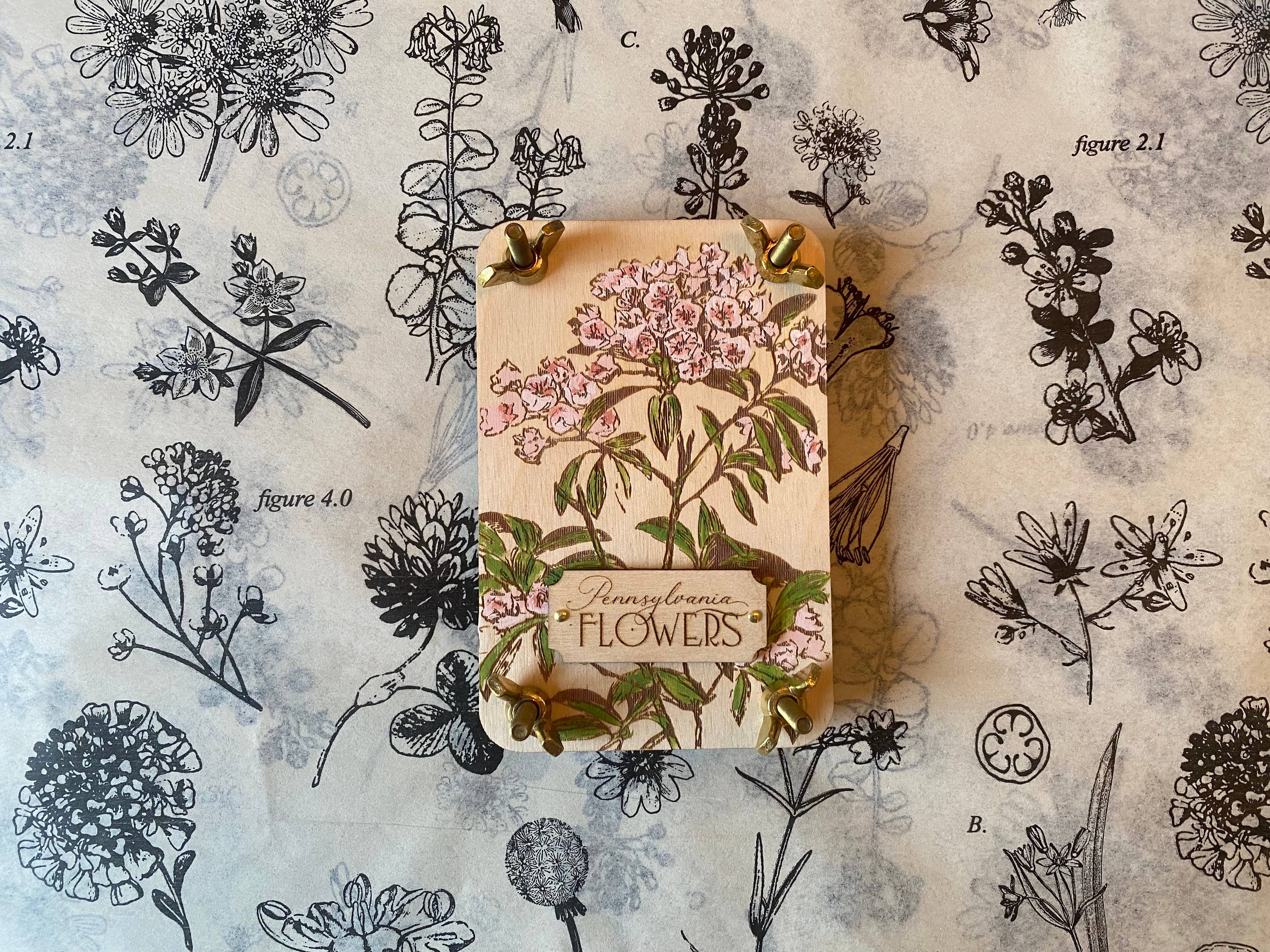 Holly Hills Lane – Engroshandel DIY-hobbysæt – Blomstpresser-sæt – Perfekt gave til haveentusiaster og blomsterelskere1