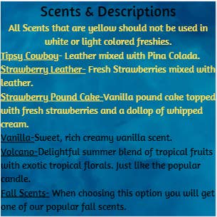 Scent Story Freshies - Wholesale Car Freshener - Unisex - Small Aztec Bull Skull -Stones in horn