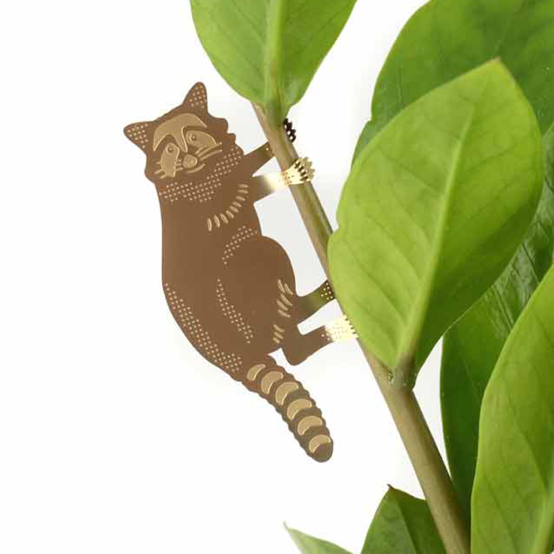 Another Studio UK - Wholesale Ornament - Plant Animal - Raccoon, Plant Hugger Decoration1