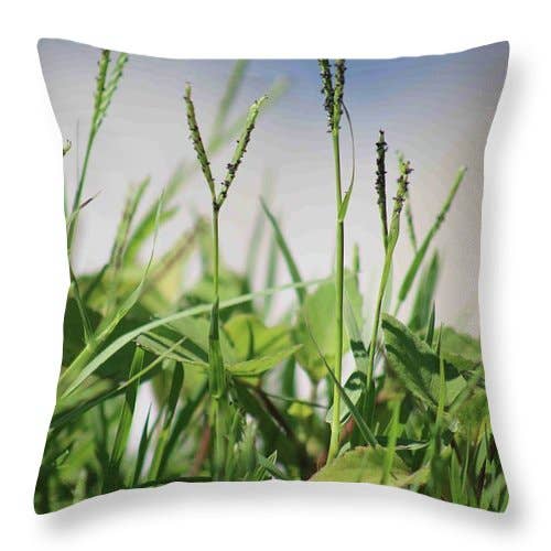 COUSSIN « PLANTES SAUVAGES NATURELLES » pour la vente par sorayadapuzzostore