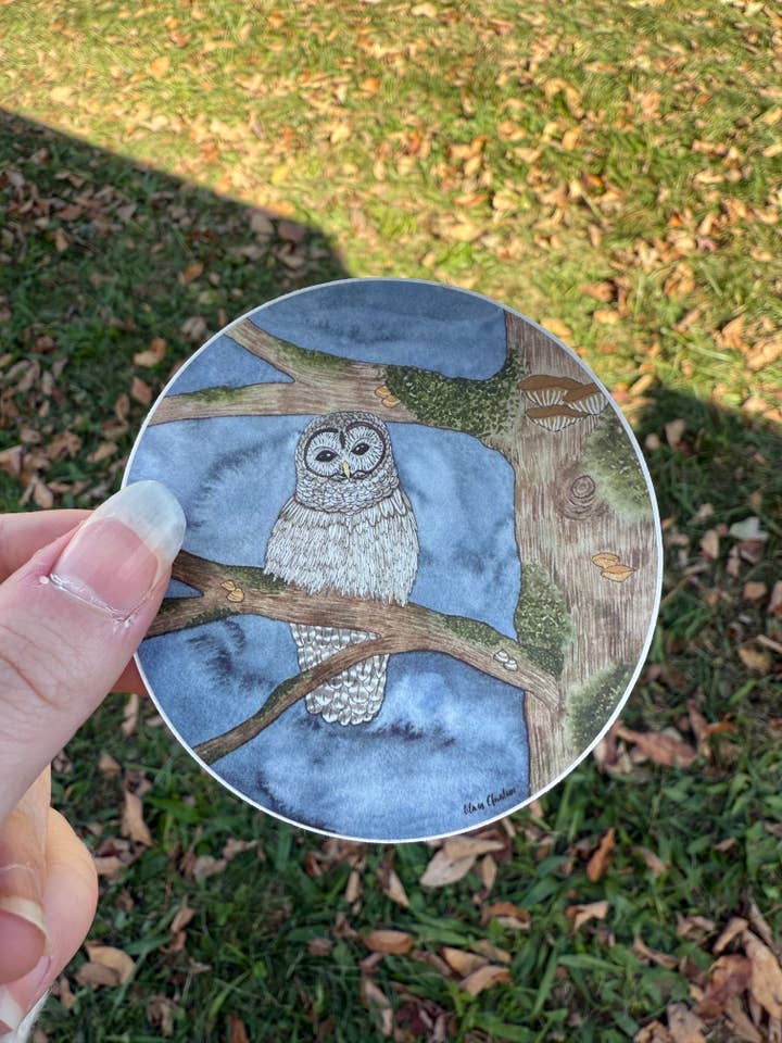 Pegatina de Búho Barrado del Patio Trasero - Pegatinas de Vinilo Impermeables para venta al por mayor de MossyPathArt