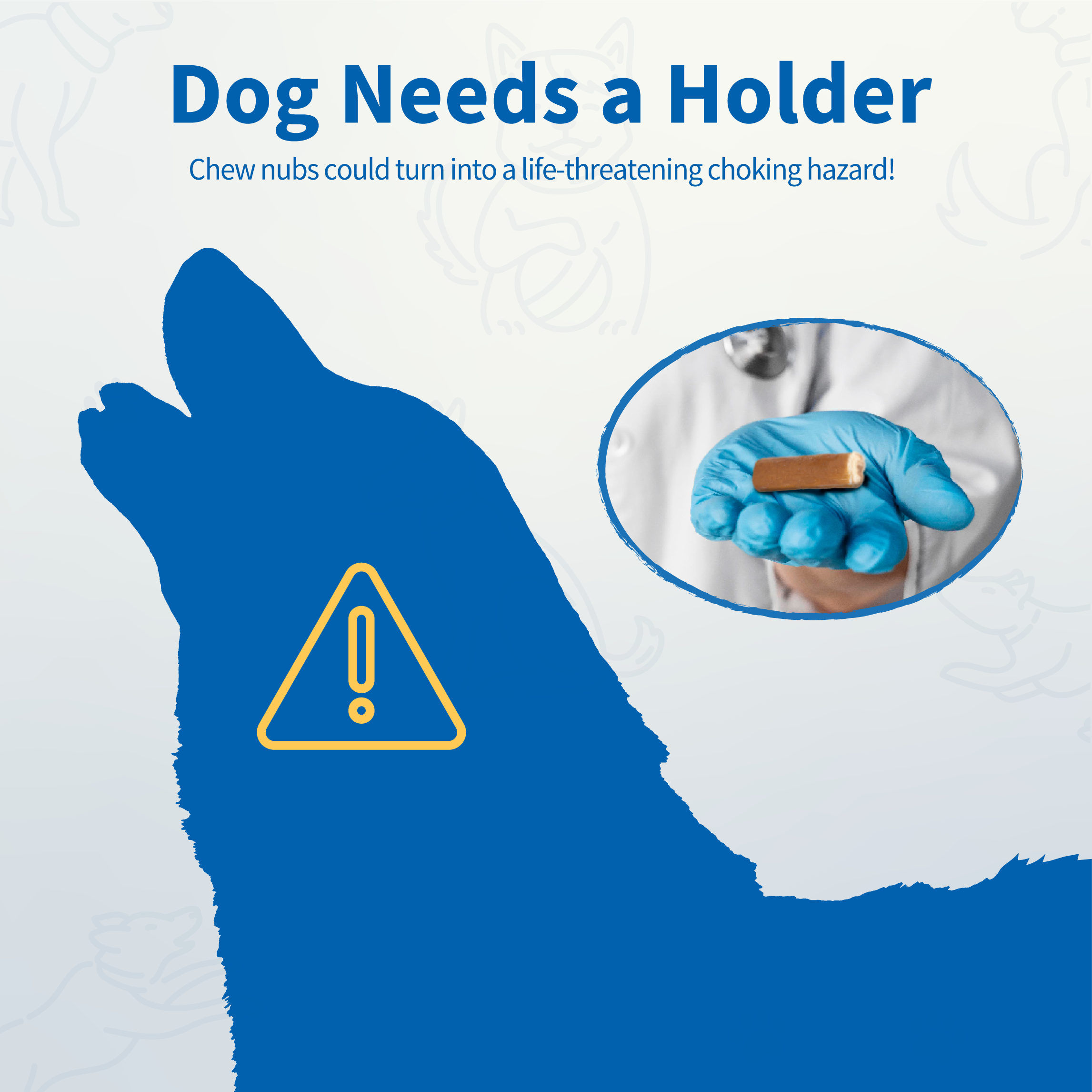 Chewise Official - Wholesale Pet Chew Toy - Dog - Safe Chew Holder – Small | Case Pack (75 Units) 4