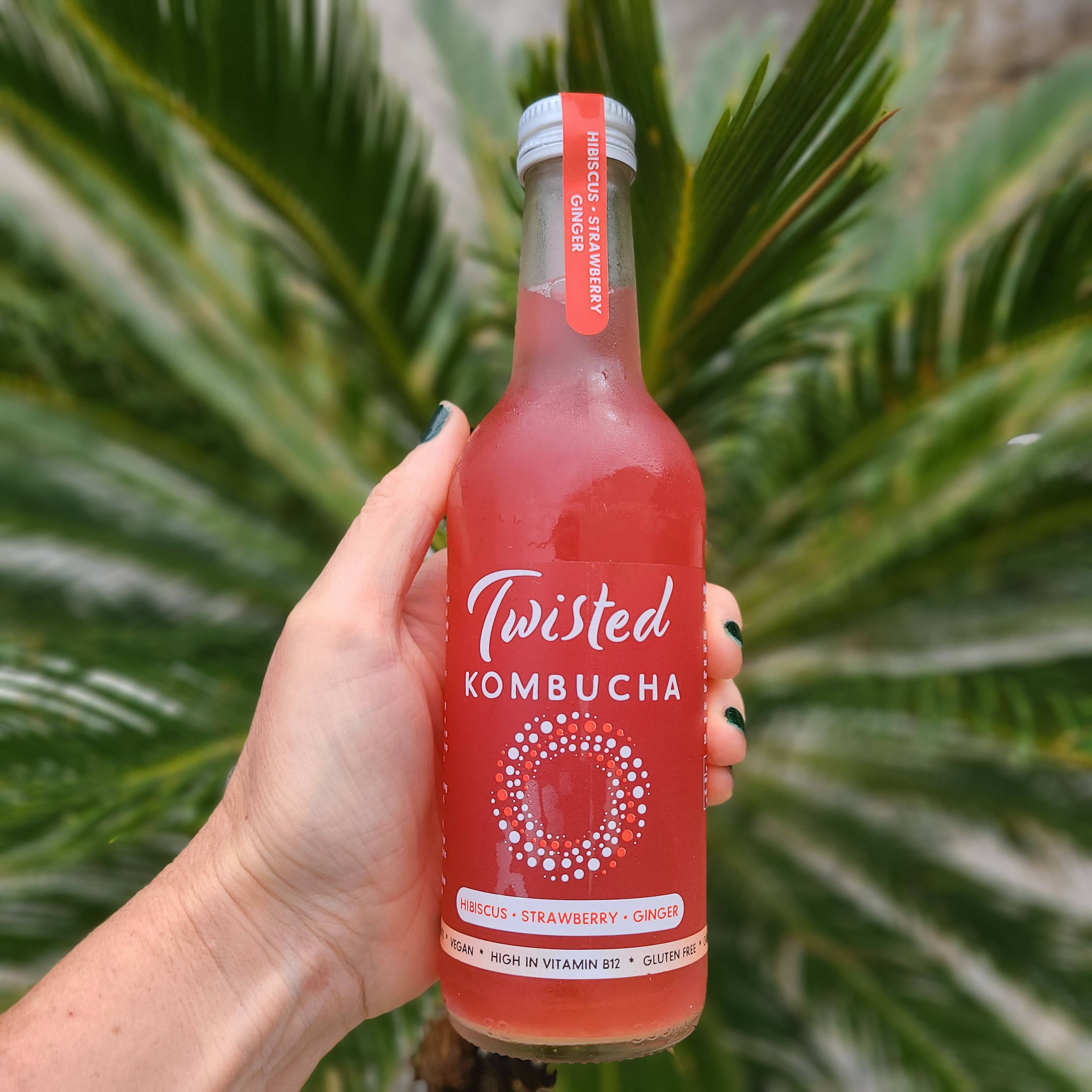 Twisted Kombucha - Vente Kombucha - Twisted Kombucha - Assortiment de saveurs10