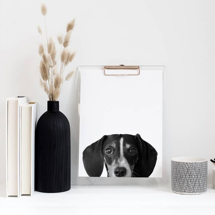 Dachshund 1 Unframed Peeking Print for wholesale by Perkie Prints