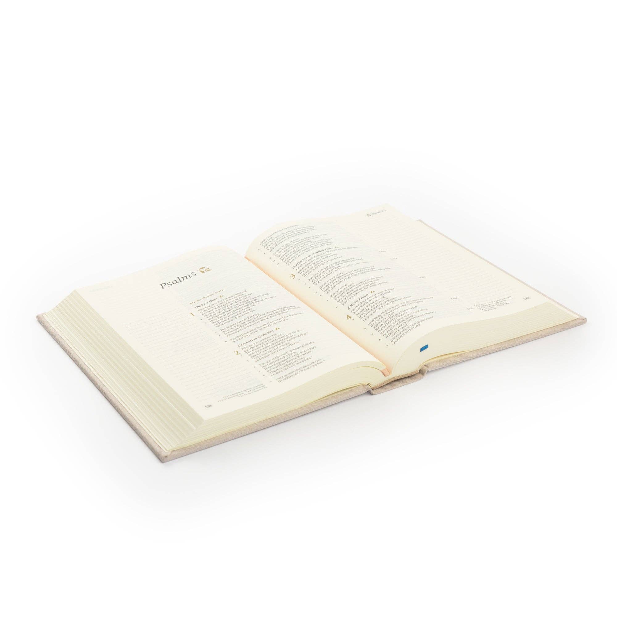 Hosanna Revival - Vente Livre à exposer - Bible de Prise de Notes CSB : Thème d'Oxford6