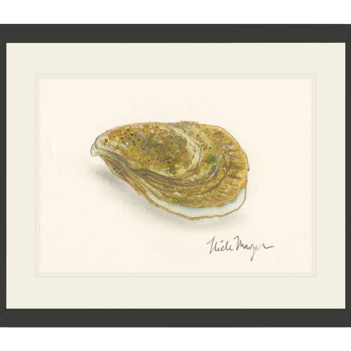 Atlantic Oyster II Limited Edition Print for wholesale by Nick Mayer Art