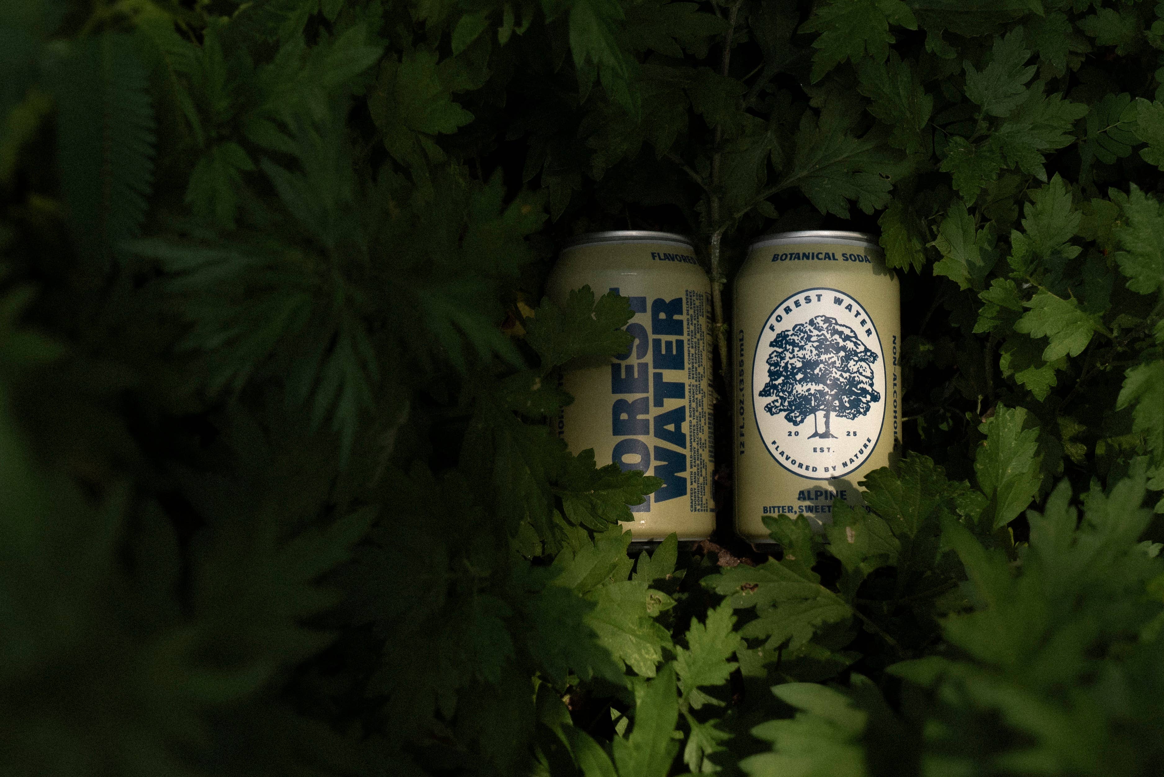 Walker Brothers - Wholesale Non-Alcoholic Aperitif/Mocktail - Alpine Forest Water | Non-Alc Botanical Soda3