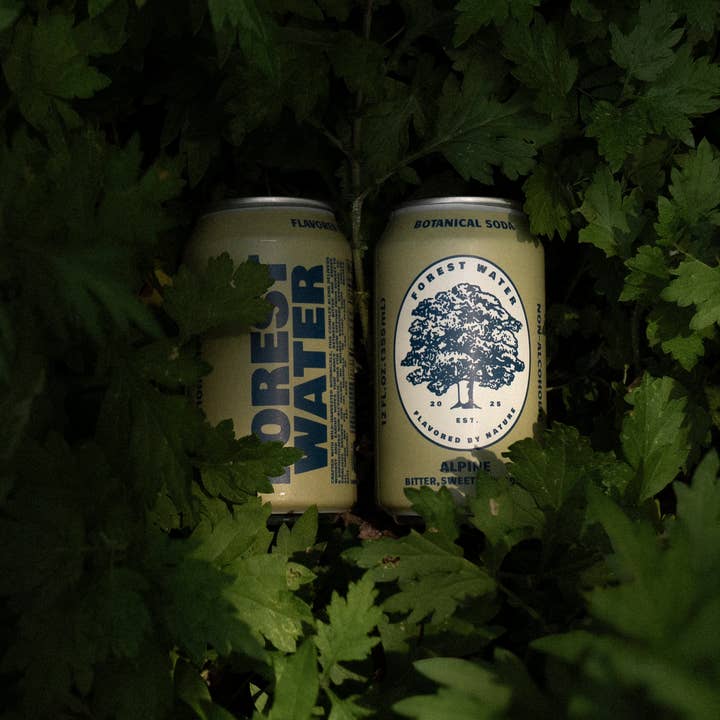 Walker Brothers - Vente Apéritifs sans alcool/mocktails - Eau de Forêt Alpine | Soda Botanique Sans Alcool3