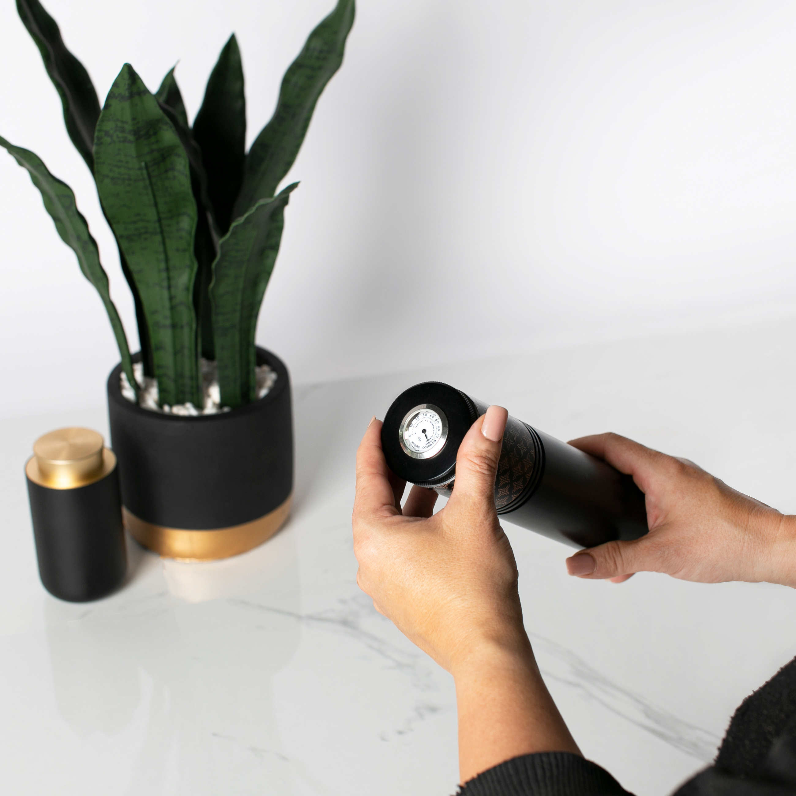 iLOLA Tea - Venta al por mayor Tés saludables/desintoxicantes - Humidor de Discos de Té | Almacenamiento de Lujo para Té de Hojas Sueltas8