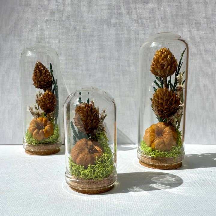 Pumpkin Patch Gold Mini Terrarium Curiosity Potion Jar for wholesale by CA Studios