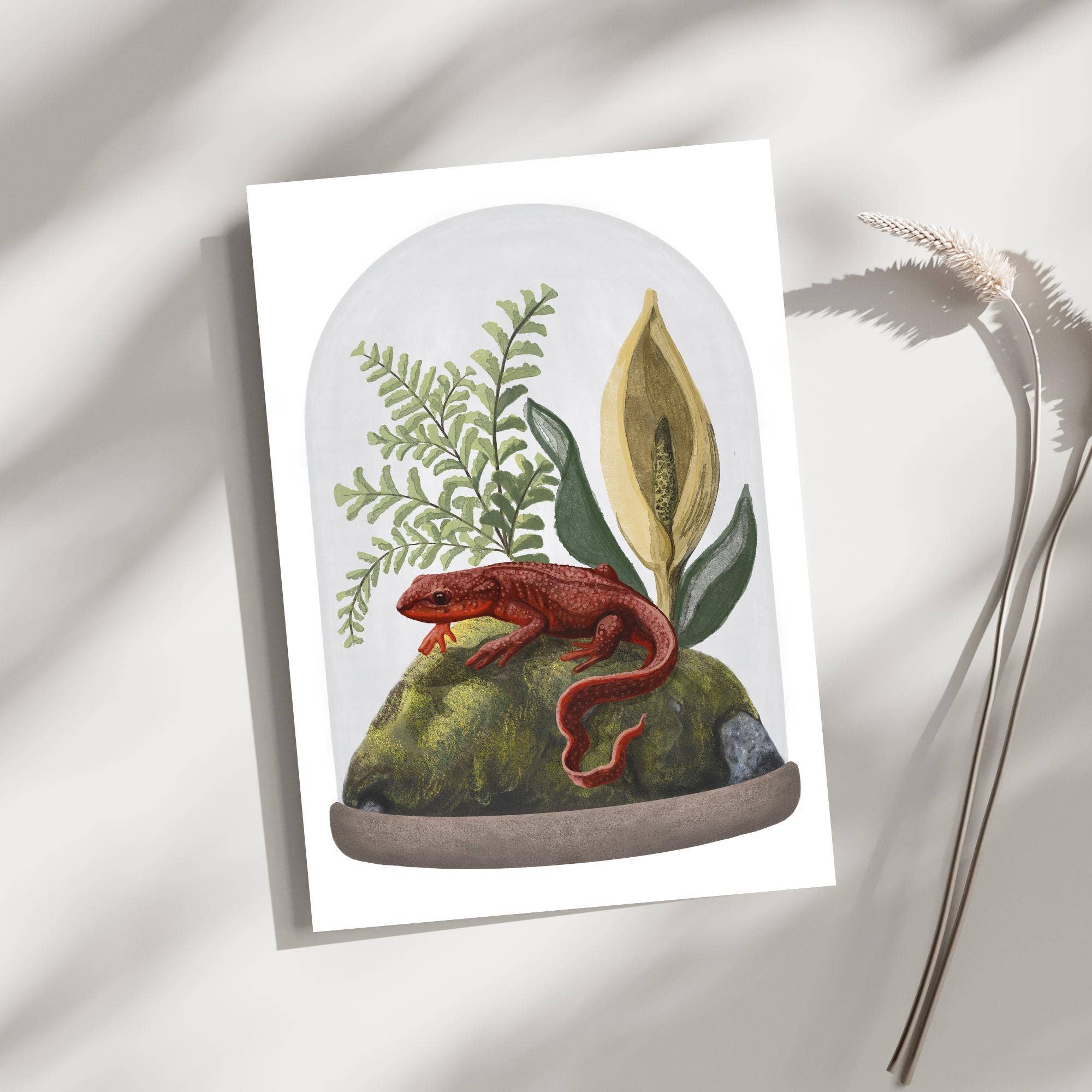 Black Moss Studio - Wholesale  - Spring Woodland Animal Illustration Greeting Cards (5-Pack)8