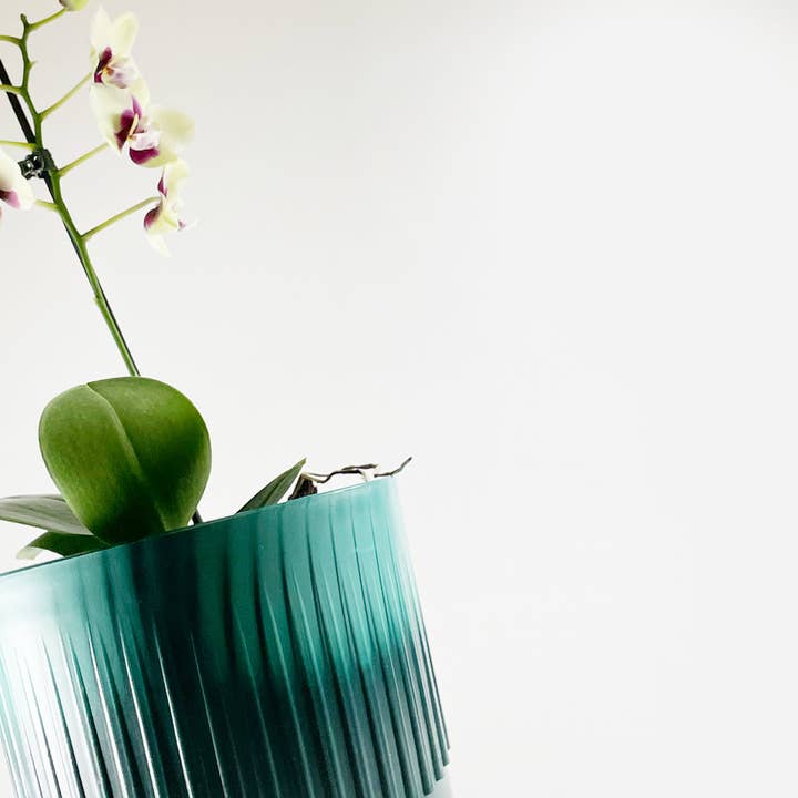 Ecotribo Large Recycled Plant Pot from Ghost Nets - Misty Cliffs for wholesale on Faire3