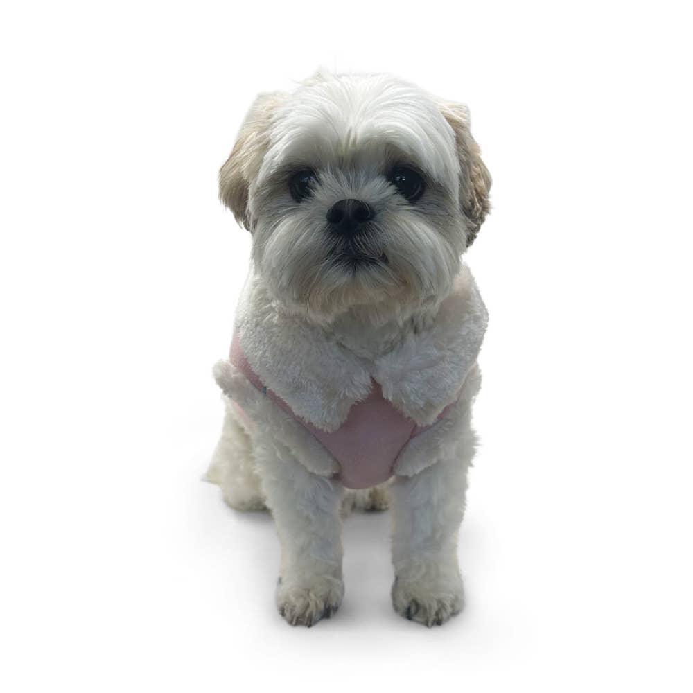 Dogo Pet - Wholesale Pet Coat - Dog - Furry Runner Coat13