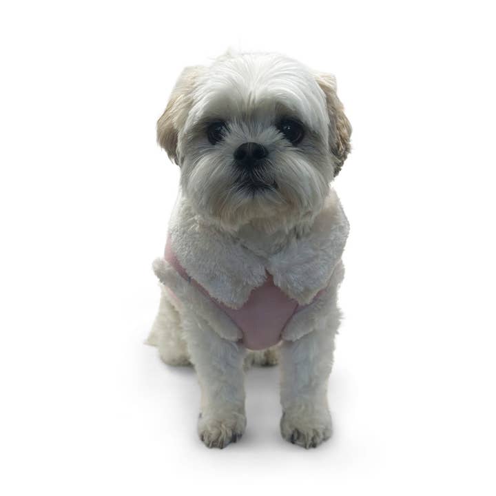 Dogo Pet - Wholesale Pet Coat - Dog - Furry Runner Coat13