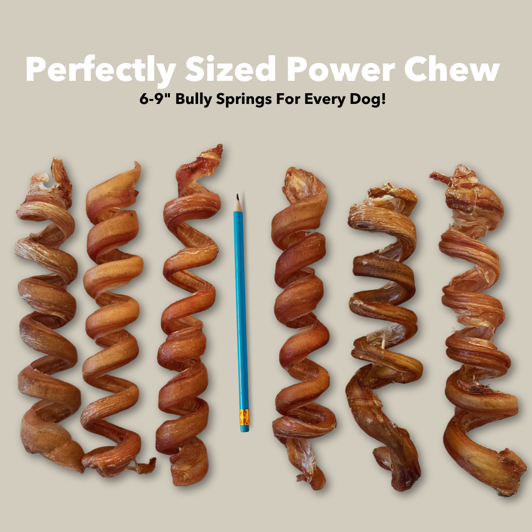Mighty Chewz - Wholesale Pet Treats - Dog - 6-9" Bulk Bully Springs (Case Price: $3.51/Stick)6