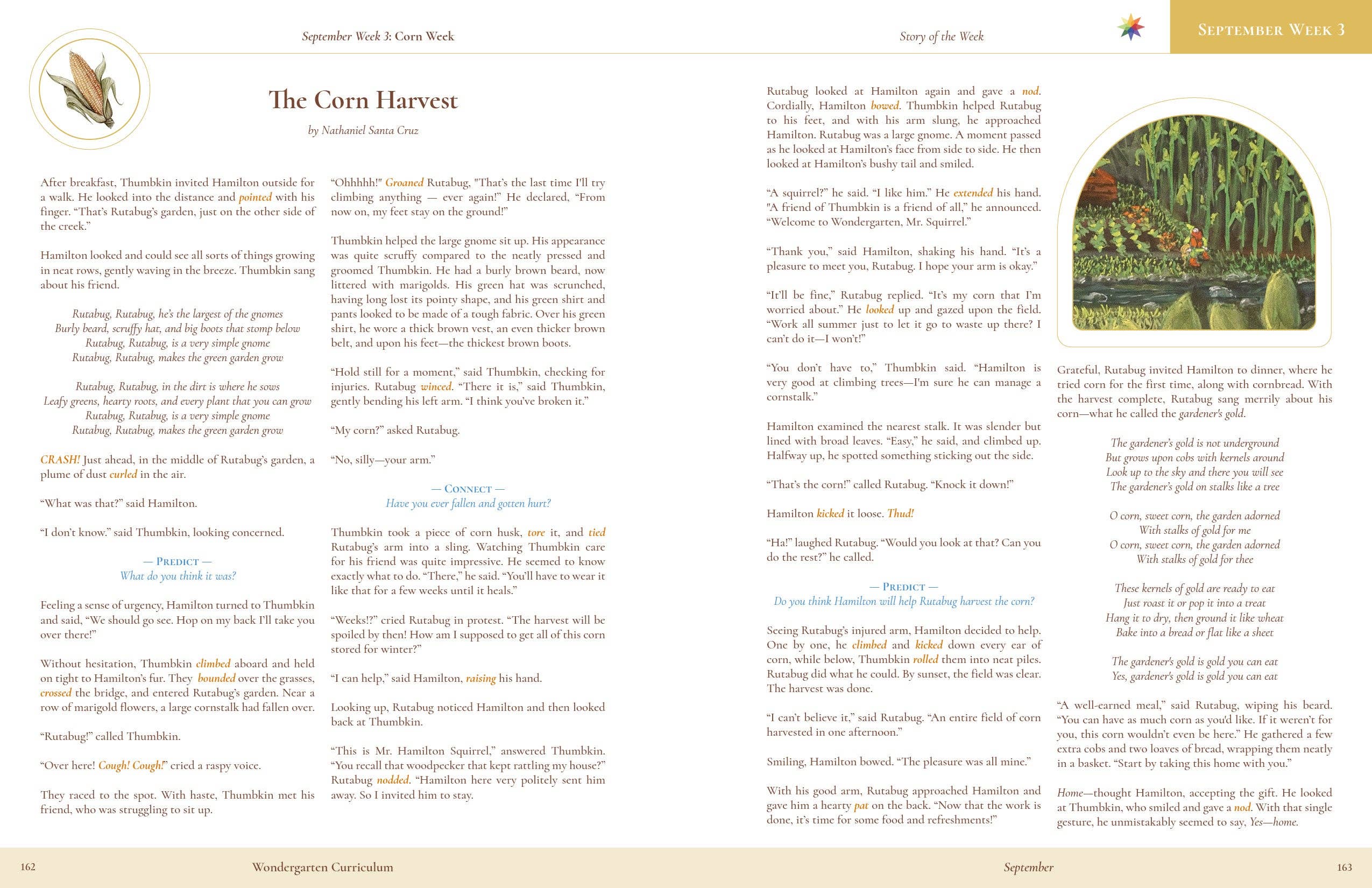 Wondergarten® - Wholesale Education - Curriculum Collection (Wholesale)17