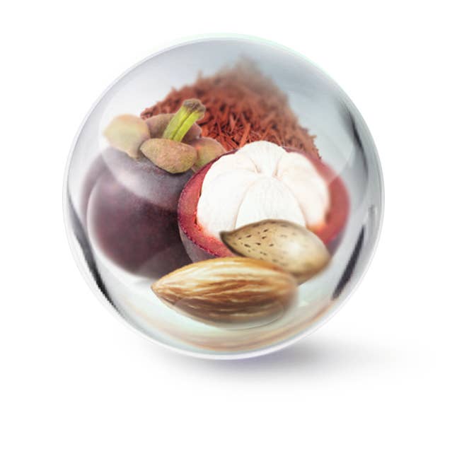 Black Anti-cellulite detox night slimming corsair for wholesale on Faire4