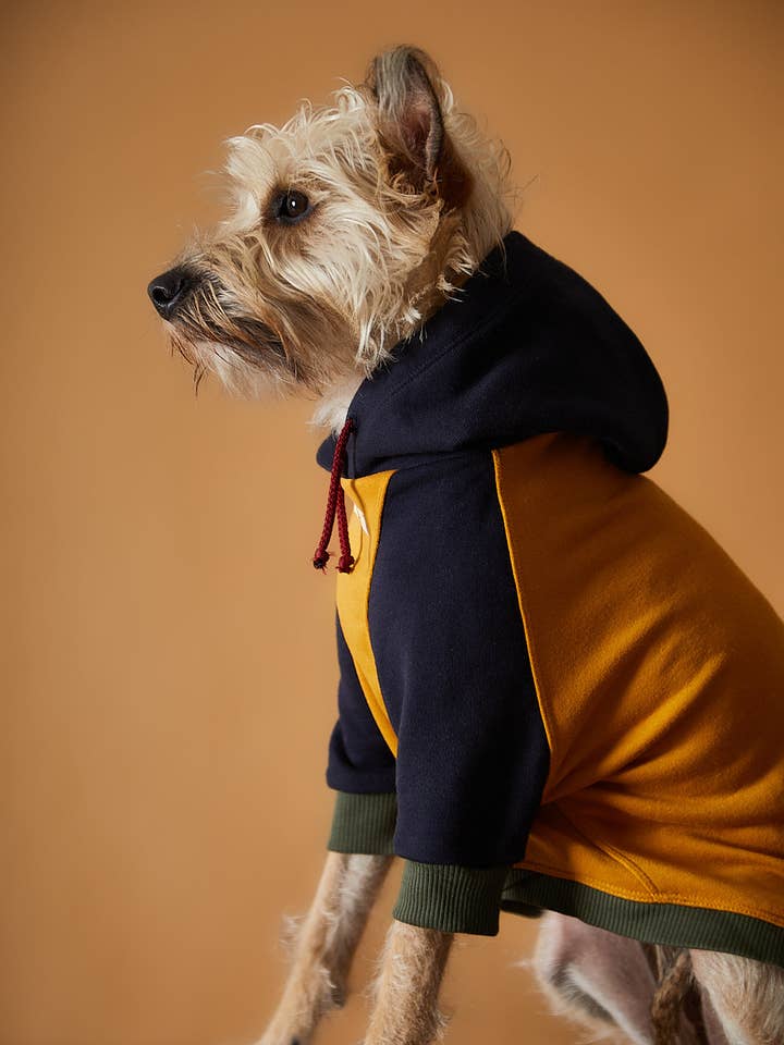 Tricolor Hoodie Sweater GABRIELLE for wholesale by The Striped Dog