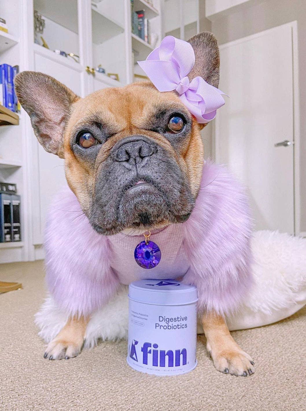 Finn - Wholesale Pet Supplement - Dog - Comfy Pup Bundle (OG)9