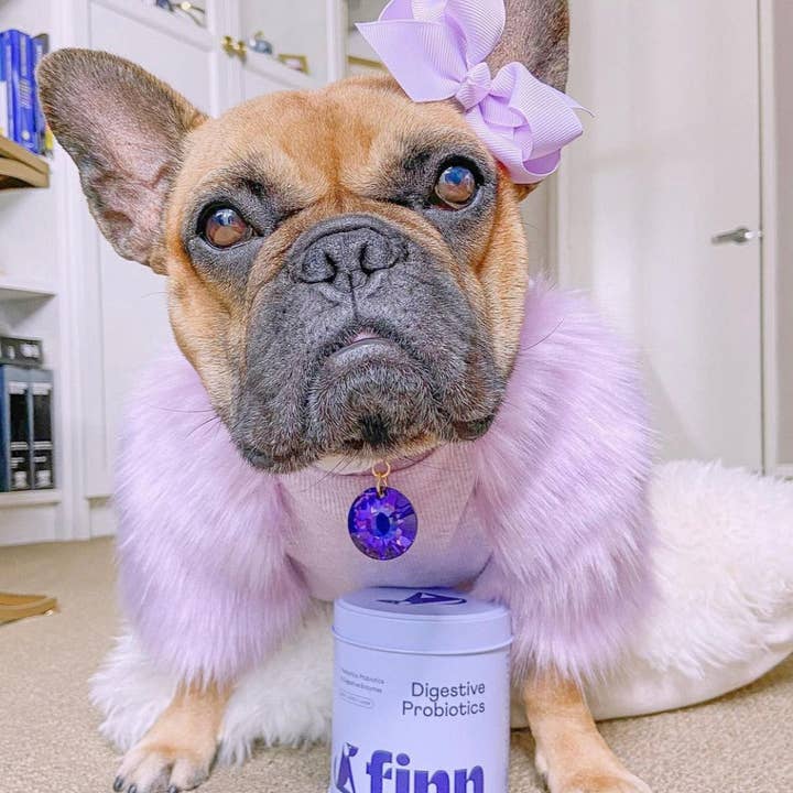 Finn - Wholesale Pet Supplement - Dog - Comfy Pup Bundle (OG)9