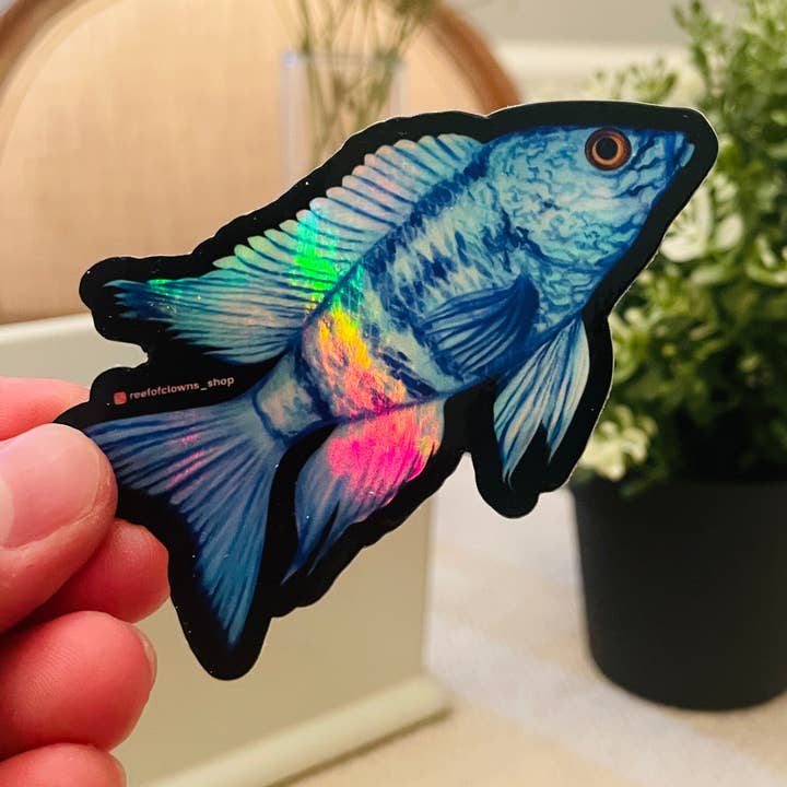 Reef of Clowns - Vente Autocollant - Autocollant bleu africain pour cichlidés (holographique)0
