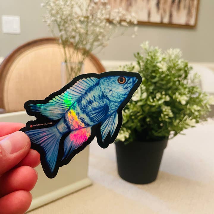 Reef of Clowns - Venta al por mayor Pegatina - Pegatina azul de cíclidos africanos (holográfica)