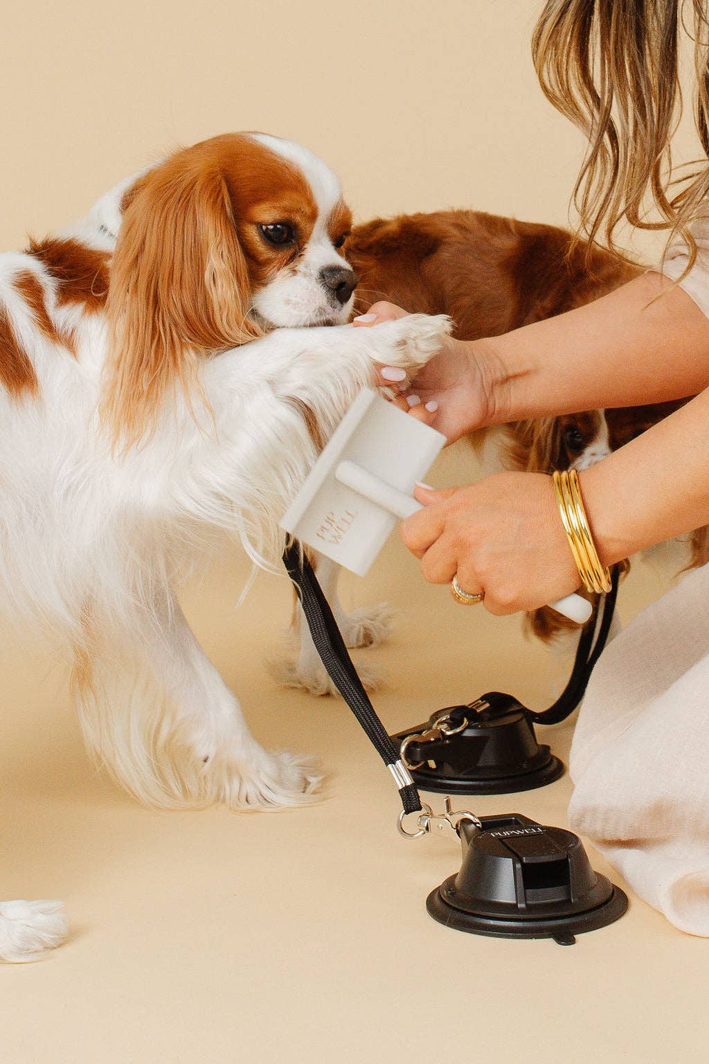 Pupwell - Wholesale Pet Brush - Cat/Dog - Everyday Slicker Brush10