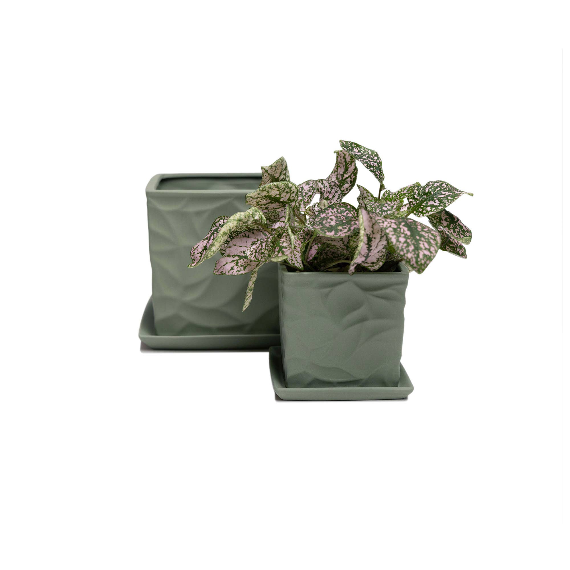 Chive - Wholesale Plant Pot - Handmade Ceramic Virago Pots | Artisan Plant Planters28