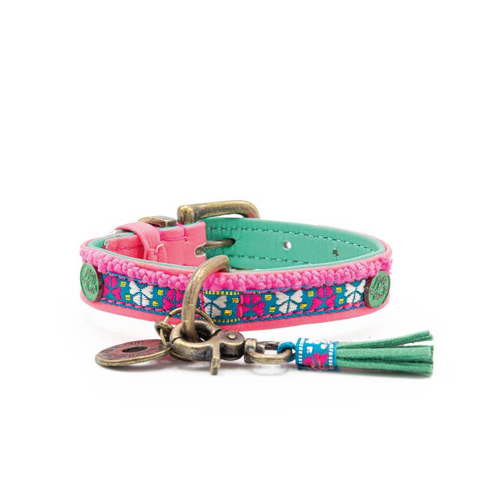 Dog with a Mission - Wholesale Pet Collar - Dog - Molly Mini Dog Collar