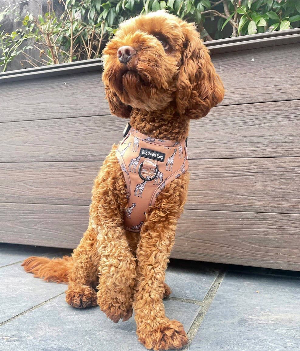 The Crafty Dog Co - Wholesale Tuig voor huisdieren - Hond - Giraffic Park Harnas8