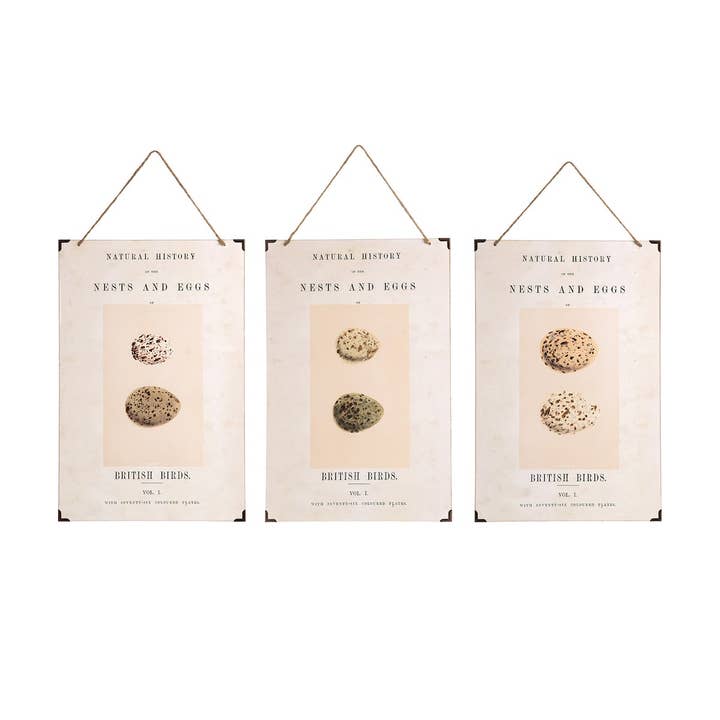 SALE British Eggs Kitchen Wall Art Set of 3 for wholesale by C&F Home