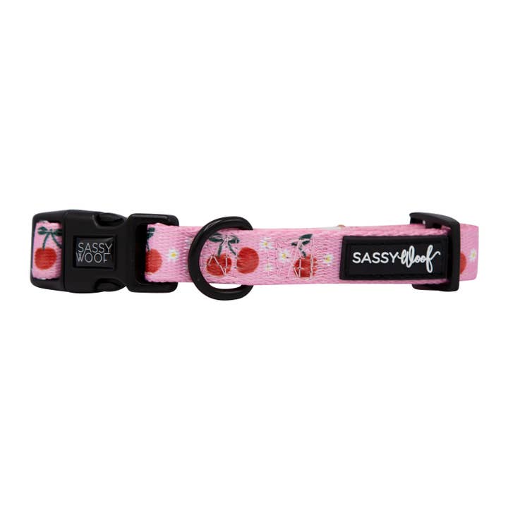 SASSY WOOF - Wholesale Pet Collar - Dog - Dog Collar - Mon Cherry (Fruits)