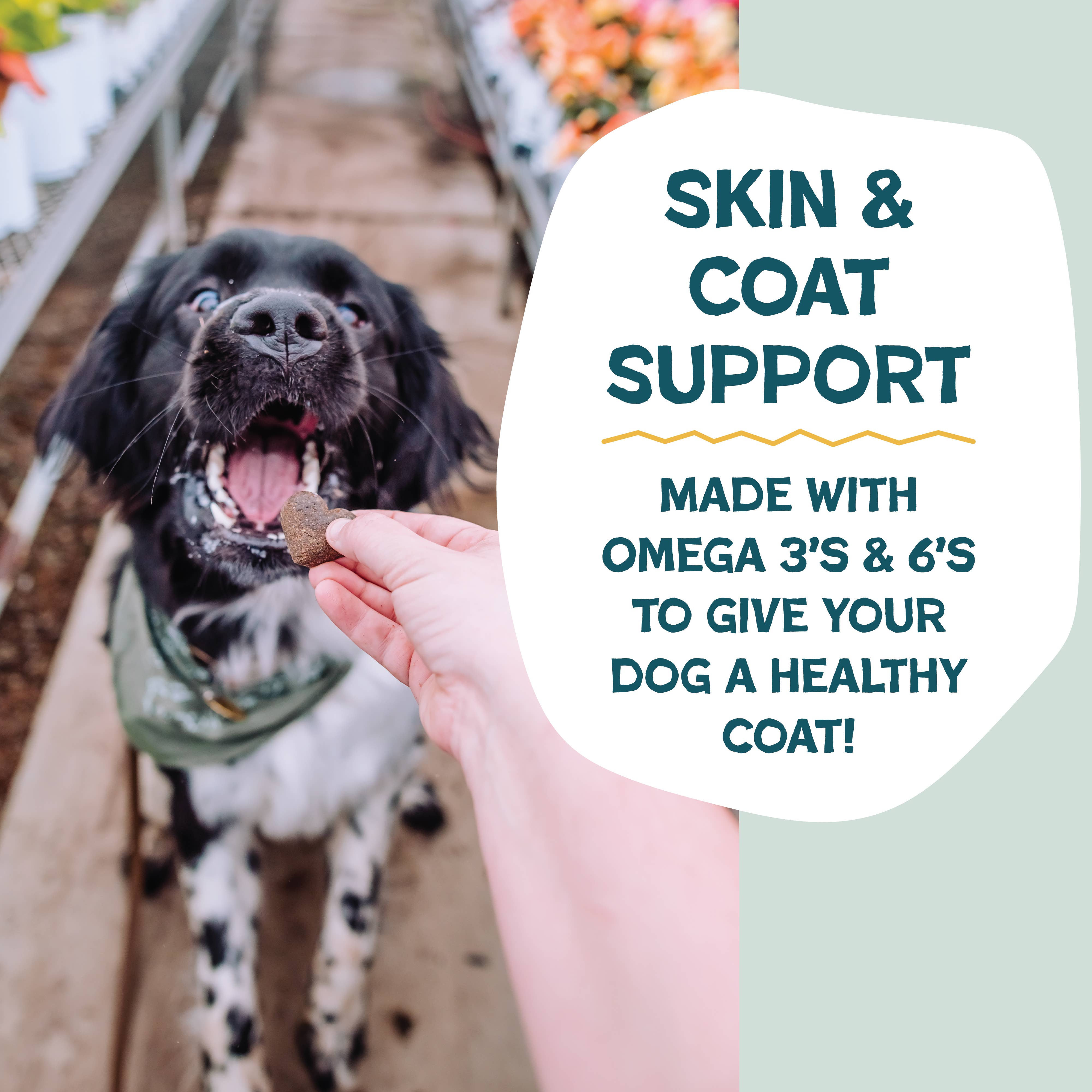 Shameless Pets - Wholesale Pet Treats - Dog - Bananas For Bacon Soft Baked Dog Treats4