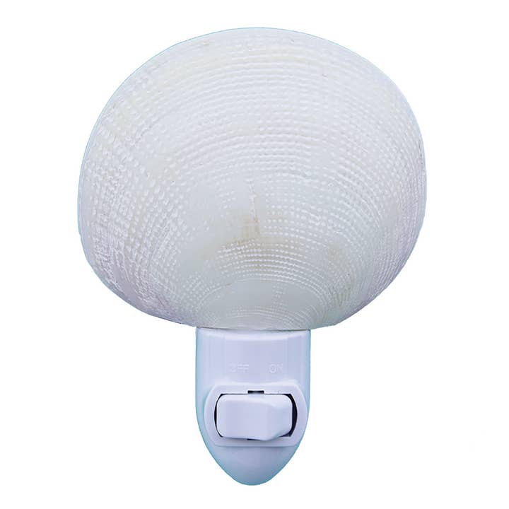 Natural Tiger Clam Seashell Night Light for wholesale by California Seashell Company