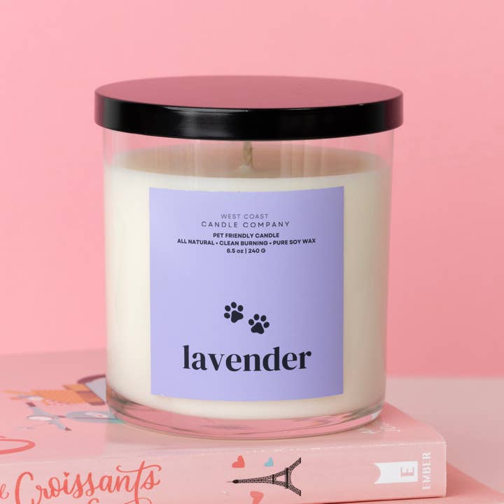 West Coast Candle Company - Vendita all'ingrosso Candela in vasetto - Candela alla lavanda
