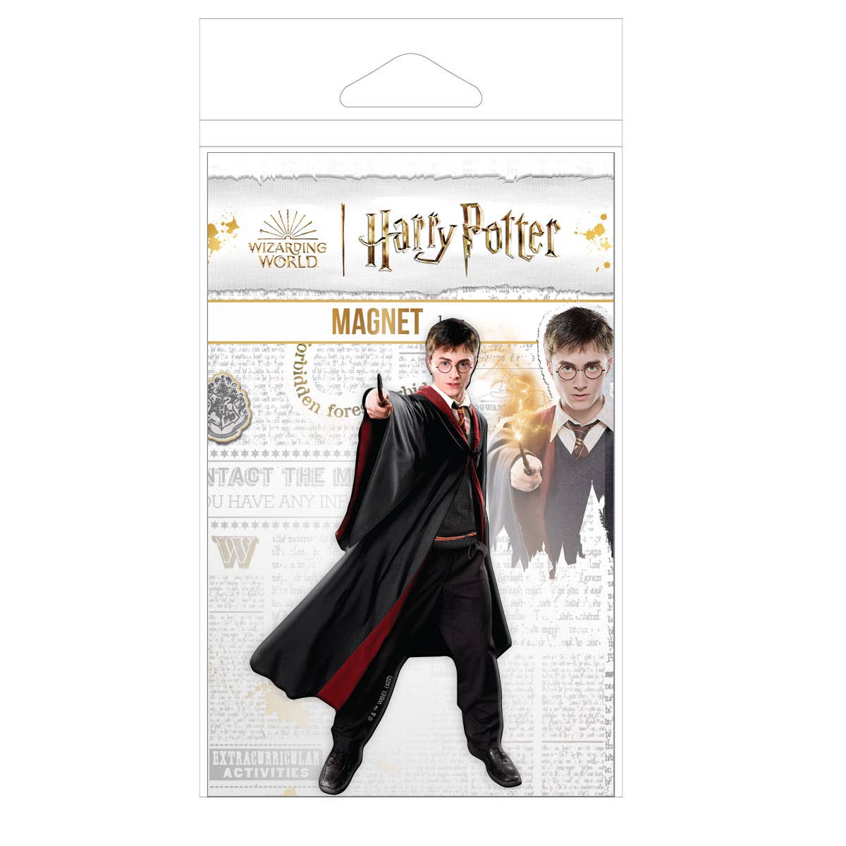 Paper House Productions - Vente Aimants - Aimant de réfrigérateur Harry Potter - Harry - 5e année1