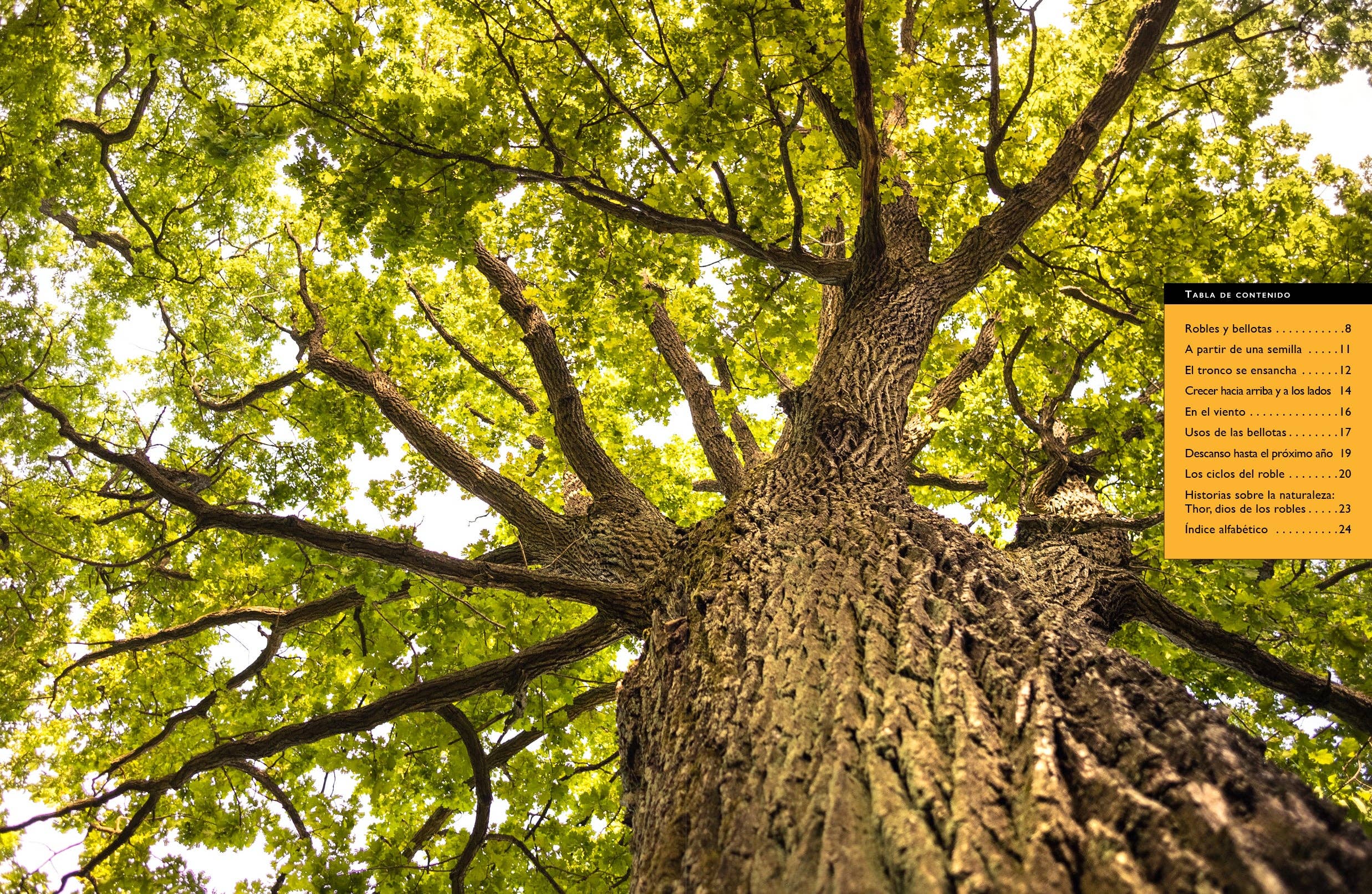 The Creative Company - Wholesale Nature & Outdoors Book - Los robles1